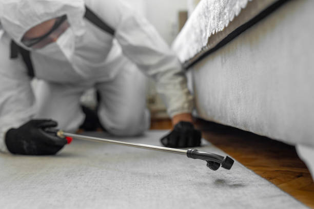 Professional Bed Bug Control technician working in Binghamton, NY