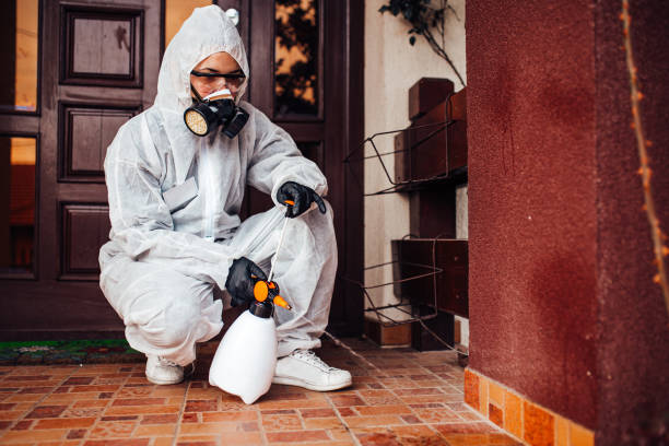 Reliable Bed Bug Control contractor in Binghamton, NY by Nex Pest Control