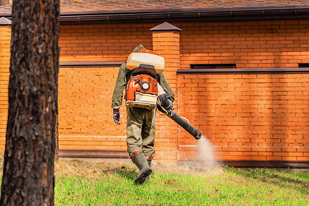 Top rated local Bed Bug Control specialists in Binghamton, NY